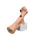 G-CM2718-Wilma-Wound-Foot-Model