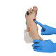 G-CM2718-Wilma-Wound-Foot-Model