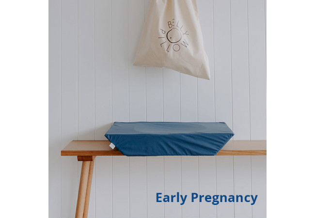 early-pregnancy-pillow