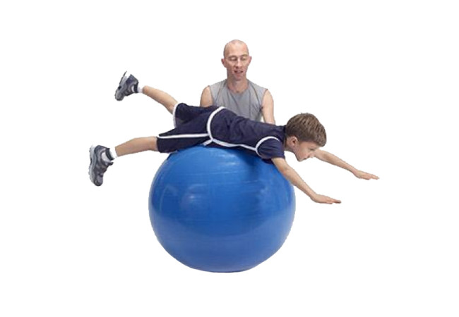 physio-gymnic-ball