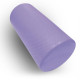 AE3007P bodyworx training roller purple